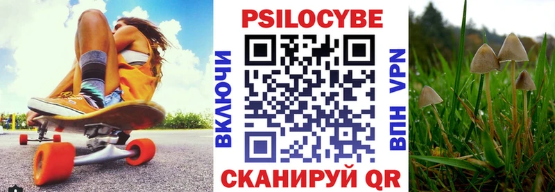 Псилоцибиновые грибы мицелий  гидра онион  Шадринск 
